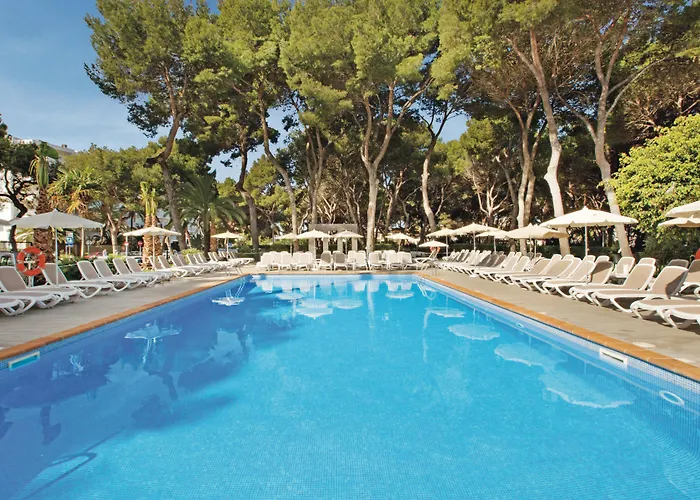 Hotel 4 stelle: Hotel Riu Festival